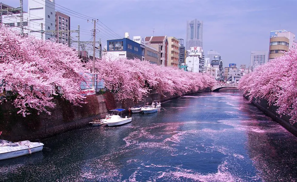 大阪Junfukuya公寓 0*, 大阪